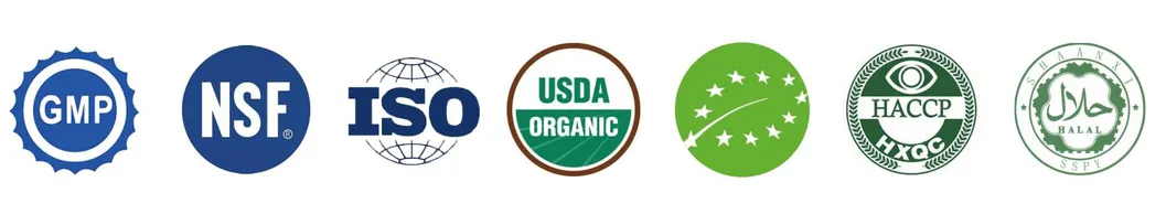 China Manufacturer Pesticide Free Water Soluble Ginsenosides 5-80% HPLC Ginseng Root Extract Organic Panax Ginseng Extract Powder