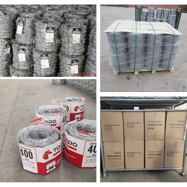 1.2mm 15kg Coil Weight Galvanized Razor Barbed Wire Green Iron