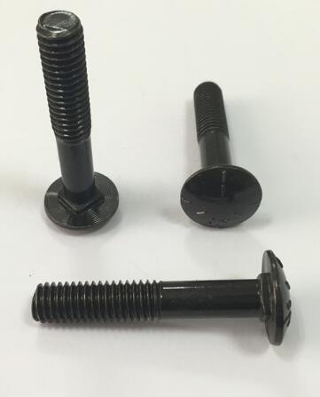 Oxidable Din603 Round Head Black Carriage Bolt Spring Lock Washer Stainless Steel Material