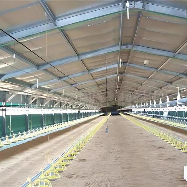 Estilo de design de armazém industrial Estrutura de aço pré-fabricada Abrigo de fazenda de frangos