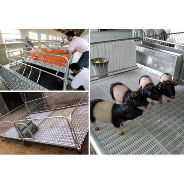 Обрабатывающ землю пластиковая Slatted коза 200kgs справляясь птица 500mm
