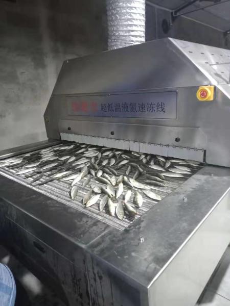 OEM da máquina de congelação rápida de Mesh Belt Tunnel Freezer 2200kg/H 2800kg/H LN2