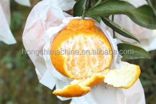 High Speed Fruit Vegetable Processing Machine Grape Growing Cover Paper Bag Maker