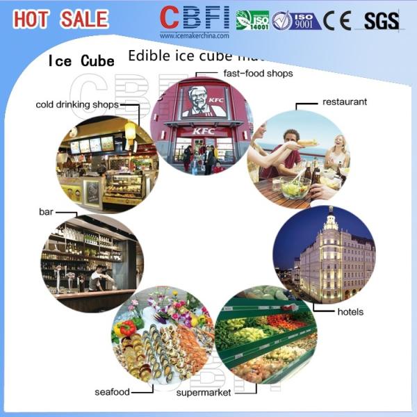 Stainless Steel Ice Cube Machine 20 Tons , Ice Maker Machine With LG Electrical Components