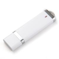 ECO Plastic USB Stick 2.0 3.0 Customized Body Color 80MB/S 32GB 64GB 128GB