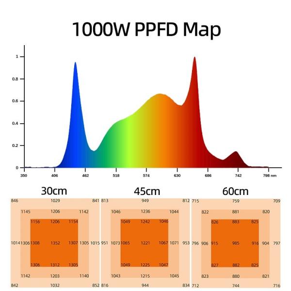 Full Spectrum 1000W LED Plant Grow Lights personnalisé Horticulture commerciale à l'intérieur Hydroponique Samsong Lm301h Lm281b Evo Dimmable