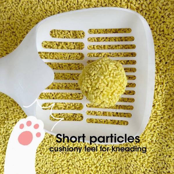 Litière pour chat Starhong Corn Tofu 1.5mm-3.0mm Sans poussière et jetable