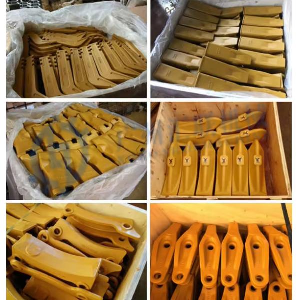 50MM 60MM 1U3452 Adaptateurs à sangles jumelles à sangles Dentes de remplacement 8E6464 8E0469 150464 6I6464 Adapté CATEE235 E330 J450 J460