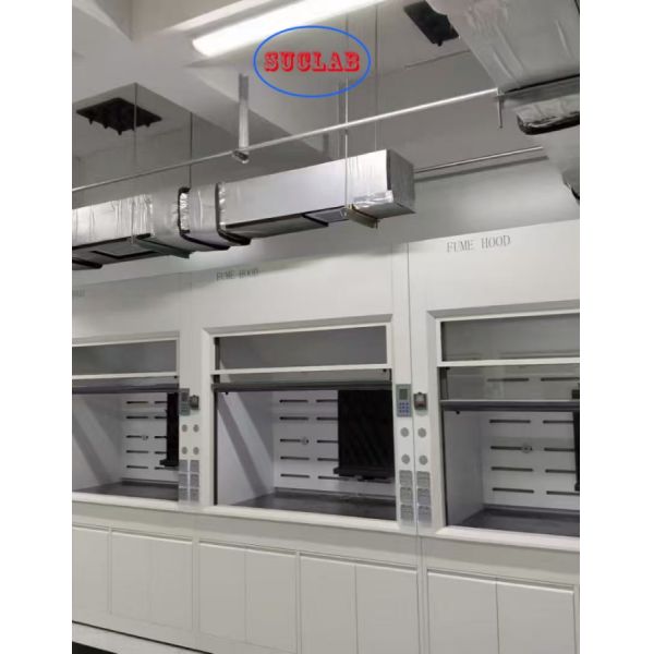 Explosion-proof Ducted Fume Cupboard White Gray Blue Selections Engineered for Fume Containment and User Protection in Labs