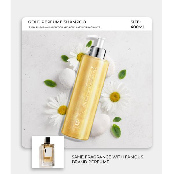 GMPC Anti Dandruff Shampoo Anti Oil Control Natural Plant