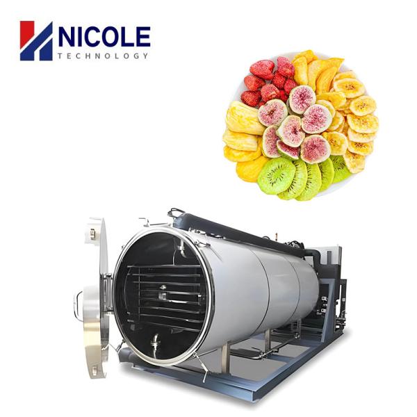 Customized Plant Food Fruit Flower Vacuum Freeze Dryer Machine CE Certificated