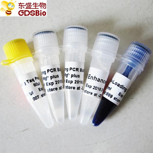 Long Taq DNA Polymerase P1061 250U