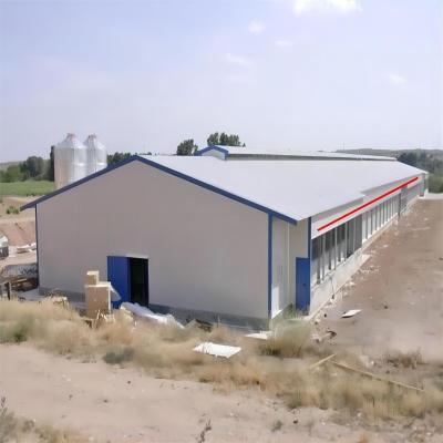 Modern Design Steel Structure Poultry Farm Chicken House for Hens Warehouse Edition