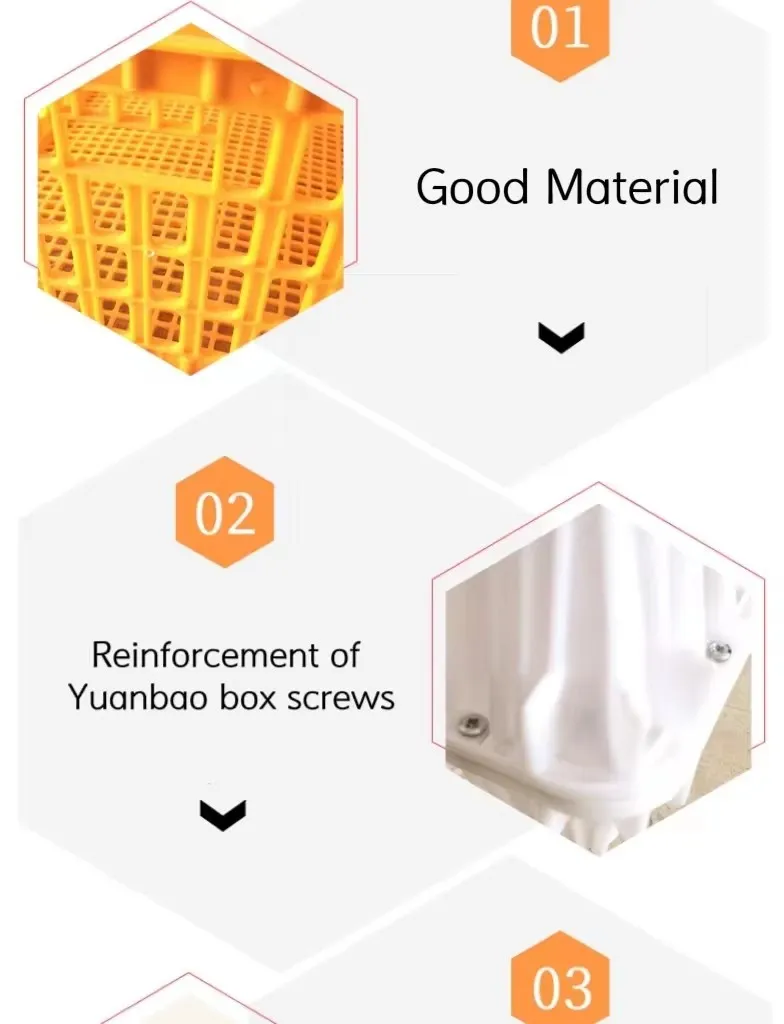 Broiler Chicken Transport Boxes High Ventilation Chicken Carrier Crate For Secure Shipping