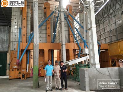 15 toneladas pelo tipo de fluxo transversal máquina do grupo de Paddy Dryer