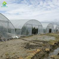 Tienda de invernadero para vegetales y frutas de un solo tramo, resistente a los rayos UV, de película de PE plástica de bajo costo