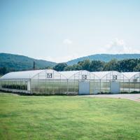 Système complet de tunnel de Polyhouse d'envergure d'agriculture multi en plastique élevée de serre chaude