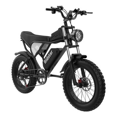 1000W Fat Tire Snow Electric Bike 7 Speed Electric Mountain Bike 48V 20ah