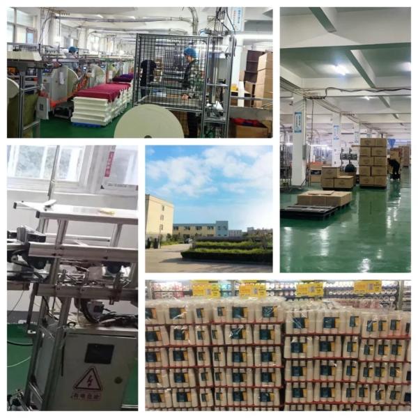 Customizable 220ml Biodegradable Disposable Tableware Bowl for Dogs Cats and Pets