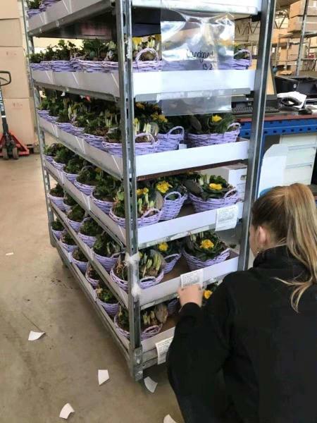 100kg/Shelf Coated Galvanized Danish Flower Trolley