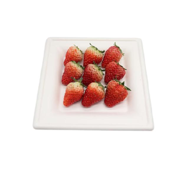 6 Inch 10g Cake Rectangle Biodegradable Sugarcane Plates