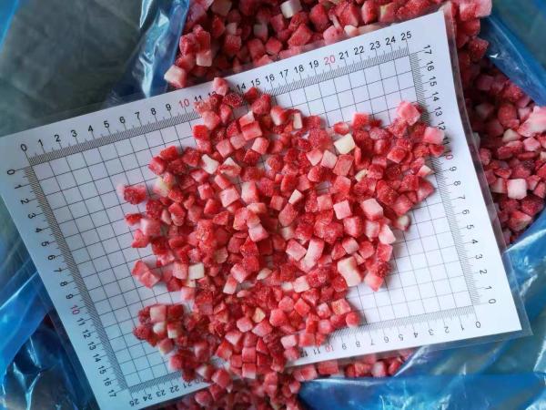 Fresh IQF Frozen Fruit , Sweet Charlie / AM13 Strawberry Whole / Dices
