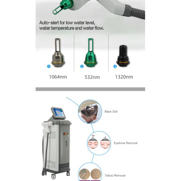Услуги по удалению татуировок с помощью лазерной машины Q Switched Nd Yag