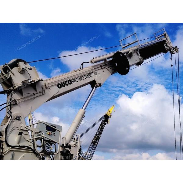 2.5T14M Offshore Drilling Rig Crane