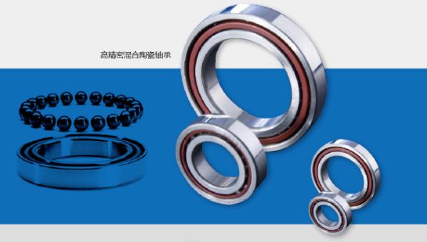 Customizable Industrial Ceramic Parts Ceramic Bearings
