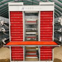 Grillage en acier galvanisé à froid de cage de volaille de poulet de couche