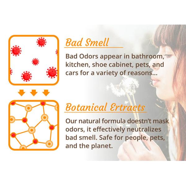 Customized Bottle Air Freshener Home Fragrance Natural Room Spray