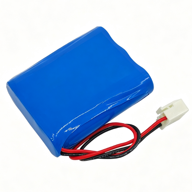 OEM 18650 Lithium Ion Battery Pack With PCM & Connector