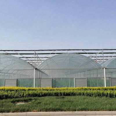10000m2 Grande Espaço Agricultura Multi Espaço Estufa Filme de plástico Estufa para cultivo hidropônico
