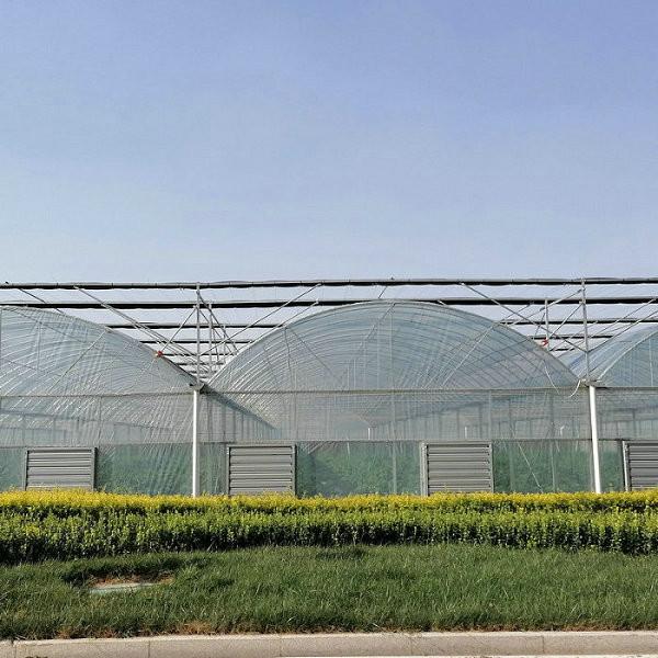 10000m2 Big Span Agriculture Multi Span Greenhouse Plastic Film Green House For Hydroponic Growing