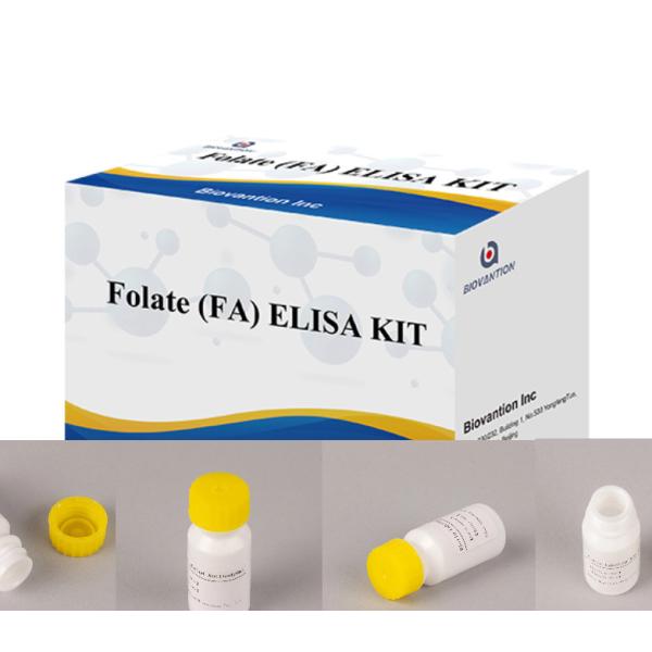 Enzyme-Linked Immune High Sensitivity Reagents Folate Elisa Test Kit