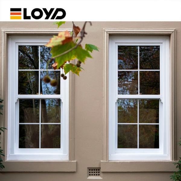 Coastal-Grade Double Single Hung Window with Corrosion Resistant Aluminum