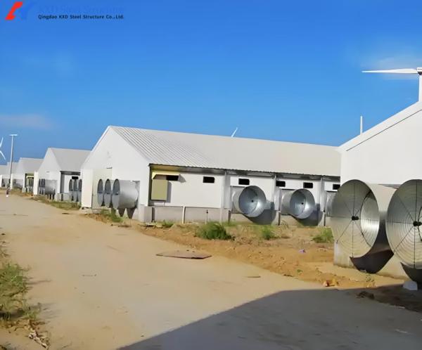 Galvanized Steel Poultry House with Cage Feeding System for Layers & Broilers