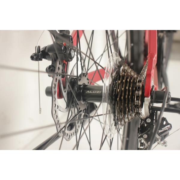 21 Speed Adult Mountain Bike Carbon Steel Dual Disc Brake Shimano Tourney