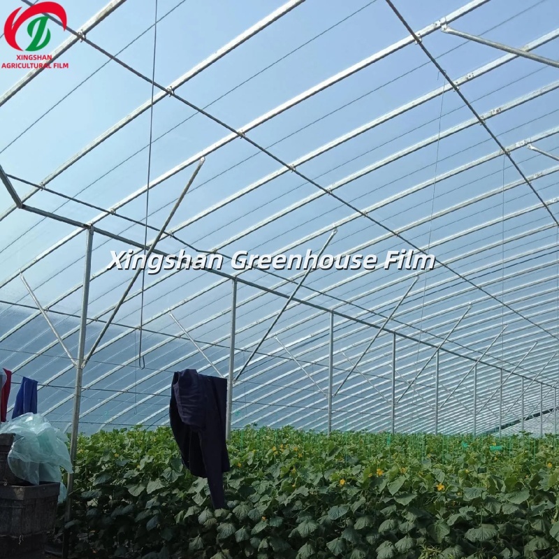 UV Stabilized PO Greenhouse Film Long-Life Agricultural Plastic Film