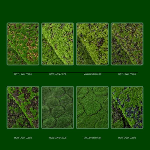 Simulation Moss Flocked Turf Plant Wall Greenery Artificial Decoration Fake Moss