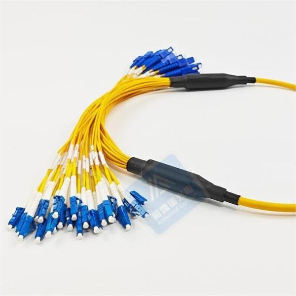 24F Sc Lc Cordon blindé à fibres LSZH 7,0 mm Résistant aux rongeurs FTTX Datacenter