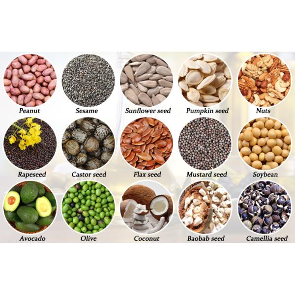 Высокий тип машина стола винта выхода нефти прессы масла Commecial машины масла