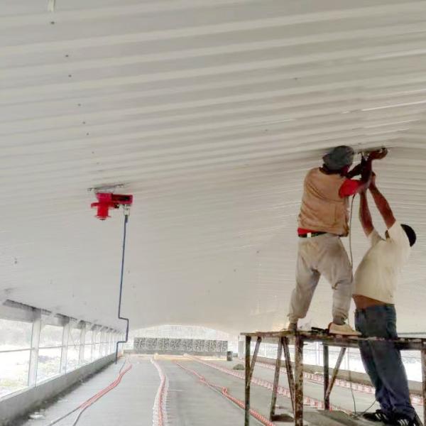 Wholesale Poultry Floor System with Automatic Feeders and Drinkers
