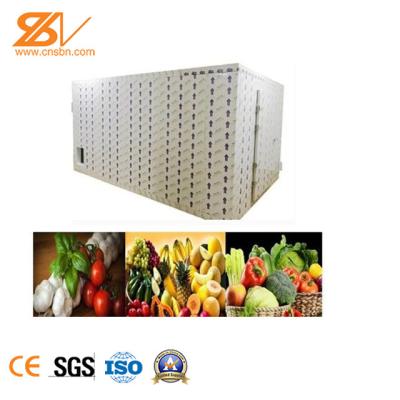Strong Industrial Hot Air Dryer Fruit Drying Equipment Easy Installation