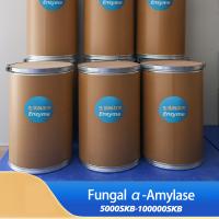 Baking Alpha Amylase Powder 5000SKB-100000SKB Providing Enzyme Preparation Sample