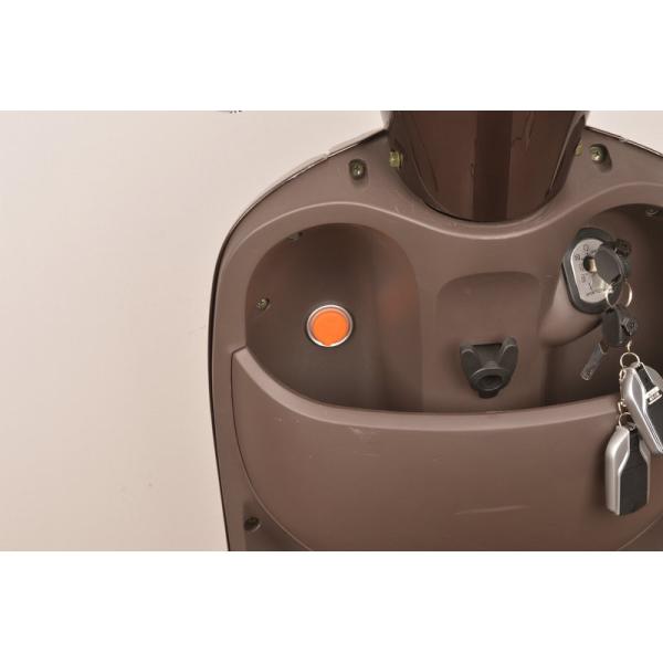 Single Speed Mode Pedal Assist Scooter 10