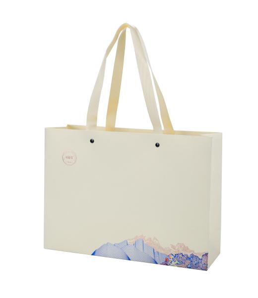 Clothing Apparel Printed Reusable Shopping Bags , Modern Designer Paper Bags