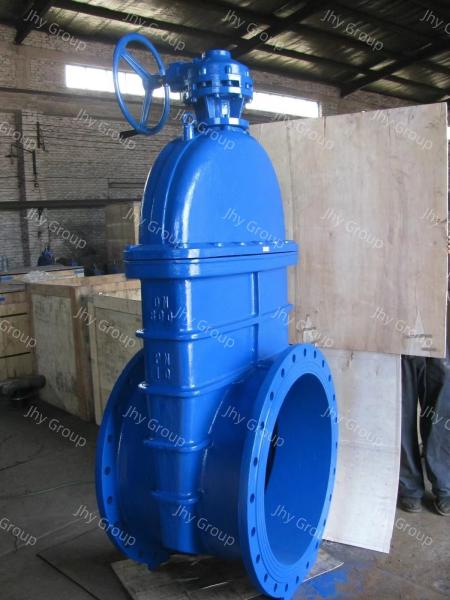 Sluice Worm Gear Gate Valve Ductile Iron Flange End Rubber Seat Valve