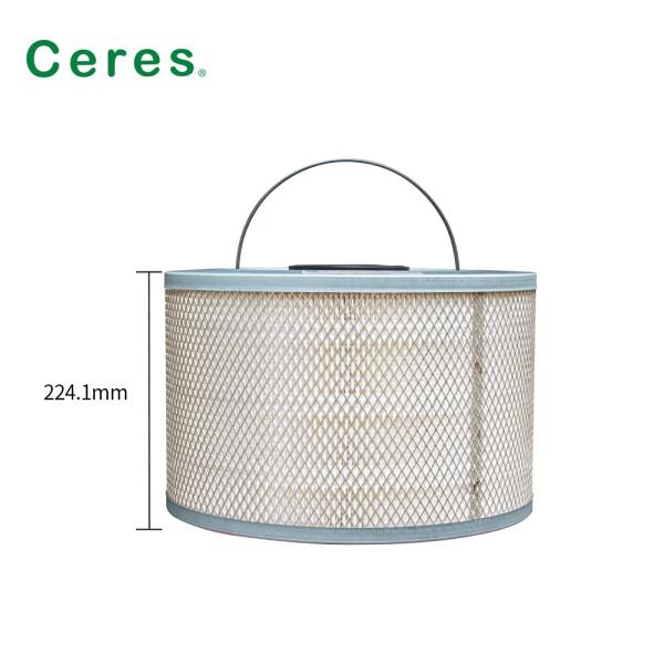 25211119 высота воздушного фильтра 224.1mm A.C. Ctp Kodak