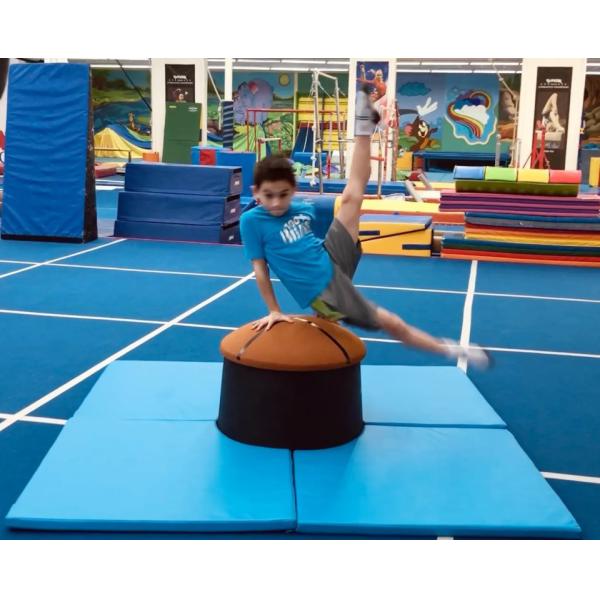 Gymnastics  Training Equipment  Olympia Pommel Trainer Elite  For For Advanced Training